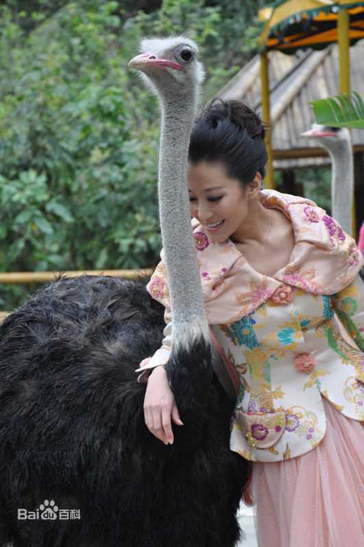 苗圃最新自由壁纸