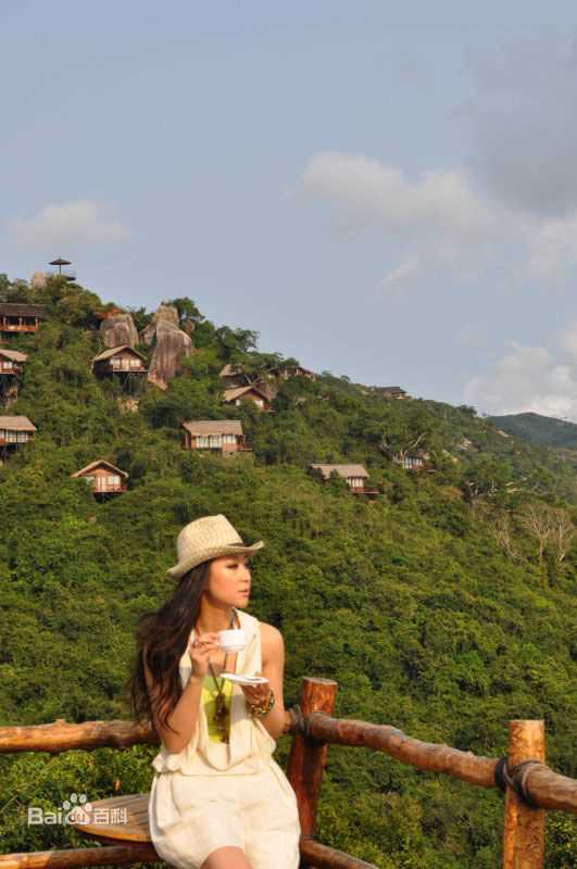 苗圃最新自由壁纸