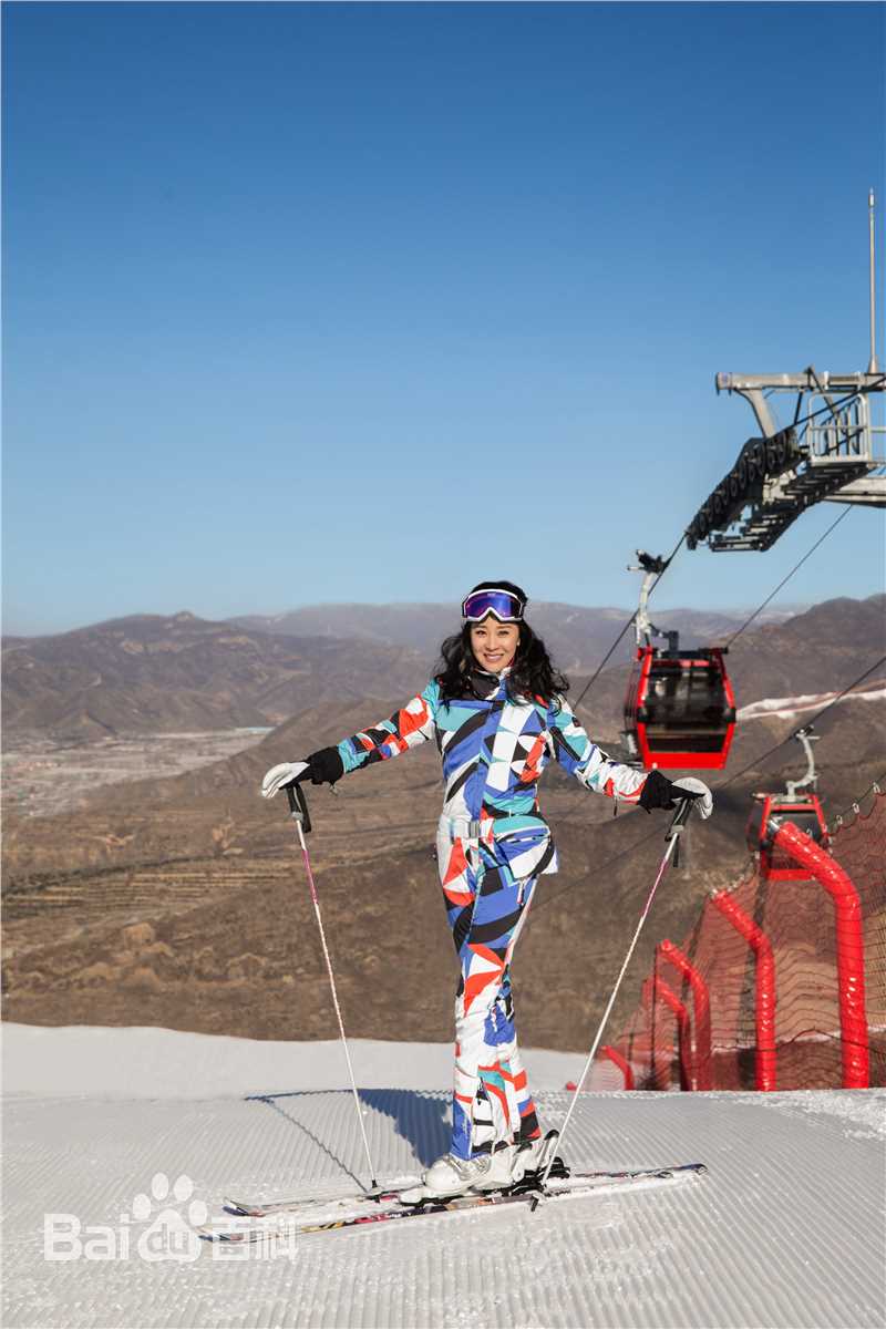 苗圃造型前后照片