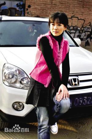 齐襄齐欢与本田CR-V壁纸壁纸