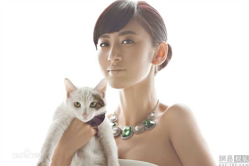 郭珍霓(Jenny)最全与流浪猫壁纸