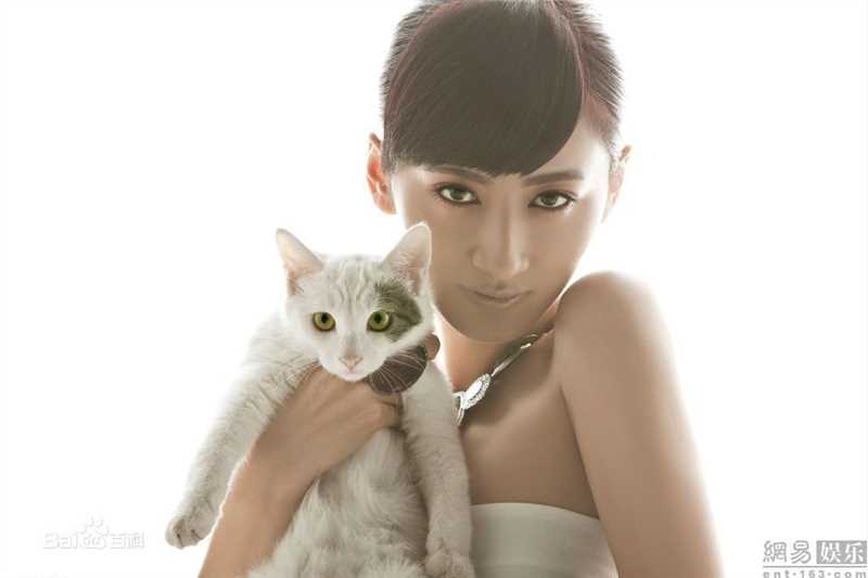 郭珍霓(Jenny)最全与流浪猫壁纸