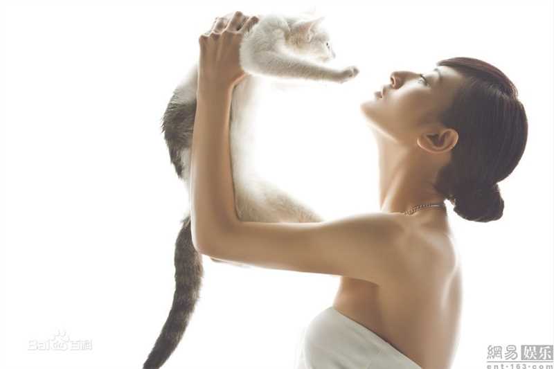 郭珍霓(Jenny)最全与流浪猫壁纸