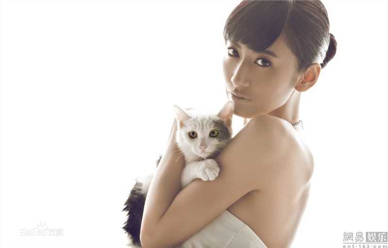 郭珍霓(Jenny)最全与流浪猫壁纸