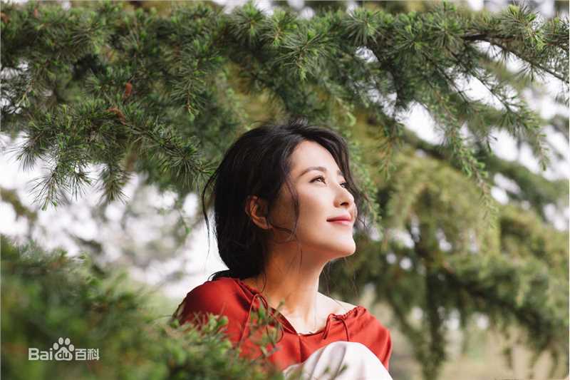 曾黎(zengli)前后照片