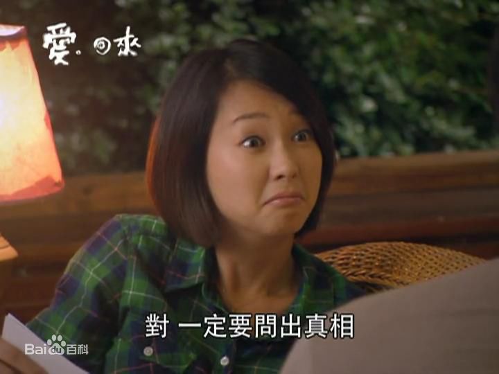 蔡君茹(June Tsai 或 June Lee)爱回来  晓晴素颜照相册