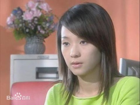 蔡君茹(June Tsai 或 June Lee)天若有情2图片图集