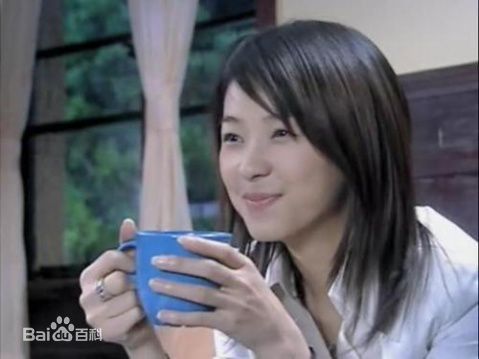 蔡君茹(June Tsai 或 June Lee)天若有情2图片图集