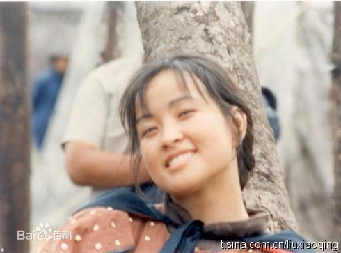 刘晓庆参演电视作品（1977-2010）图片图册