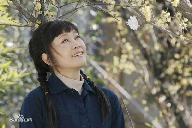 刘晓庆参演电视作品（1977-2010）图片图册