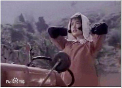 刘晓庆参演电视作品（1977-2010）图片图册