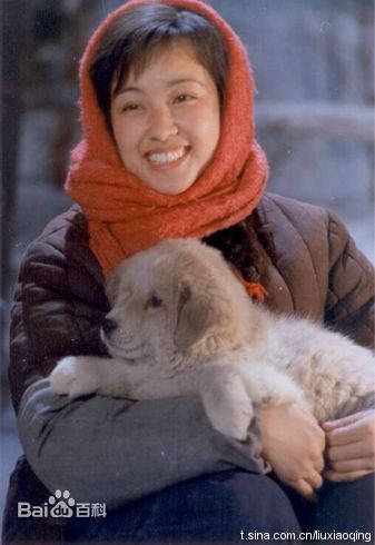 刘晓庆参演电视作品（1977-2010）图片图册