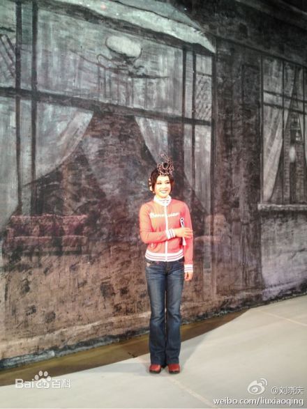 刘晓庆精彩图册