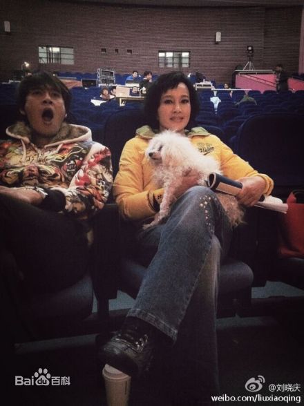 刘晓庆精彩图册