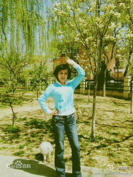 刘晓庆精彩图册