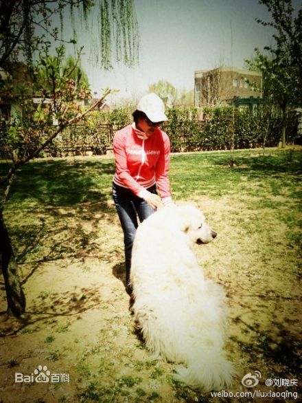 刘晓庆精彩图册