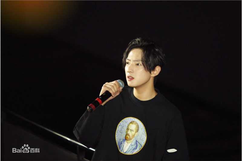 赵天宇在《至爱梵高·星空之谜》中的