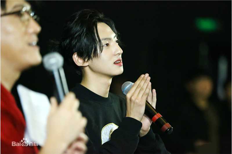 赵天宇在《至爱梵高·星空之谜》中的