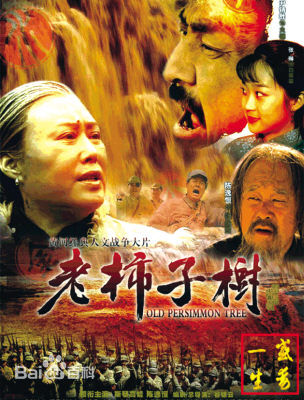 严浩(Ho Yim)发行国产影视作品（部分）前后照片