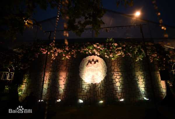 包贝尔婚礼图片图集