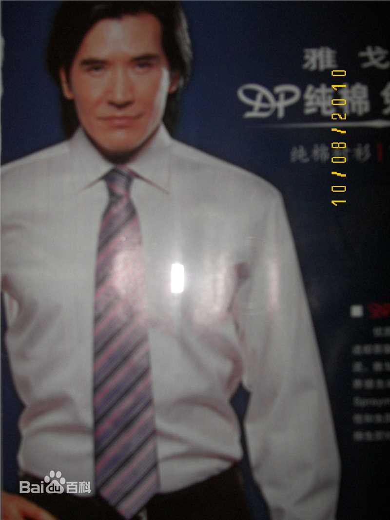 费翔(ChristianRandPhillips)天津演出照性感图片壁纸