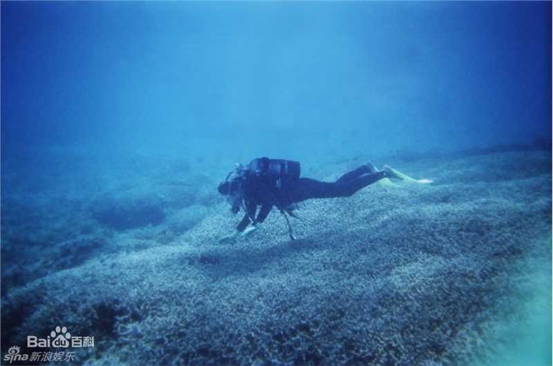 最优质张雨绮(Yuqi Zhang、キティ-チャン（日语）)精彩图册