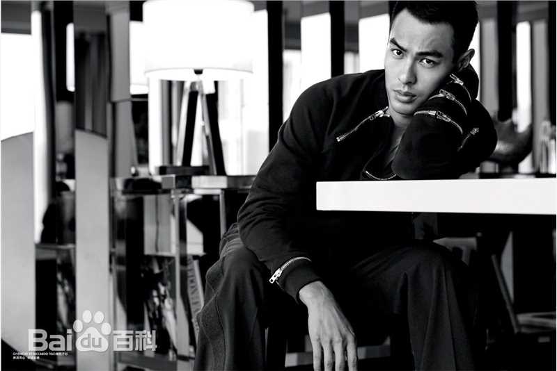 杨祐宁(Yo Yang)最优质杂志相册