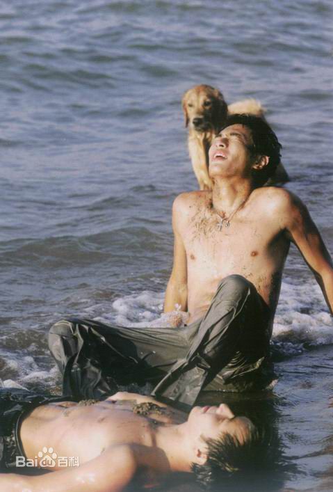 杨祐宁(Yo Yang)MV作品性感图片图集