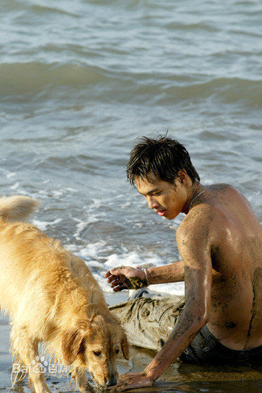 杨祐宁(Yo Yang)MV作品性感图片图集