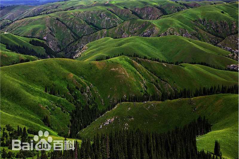 江一燕摄影作品图片图集