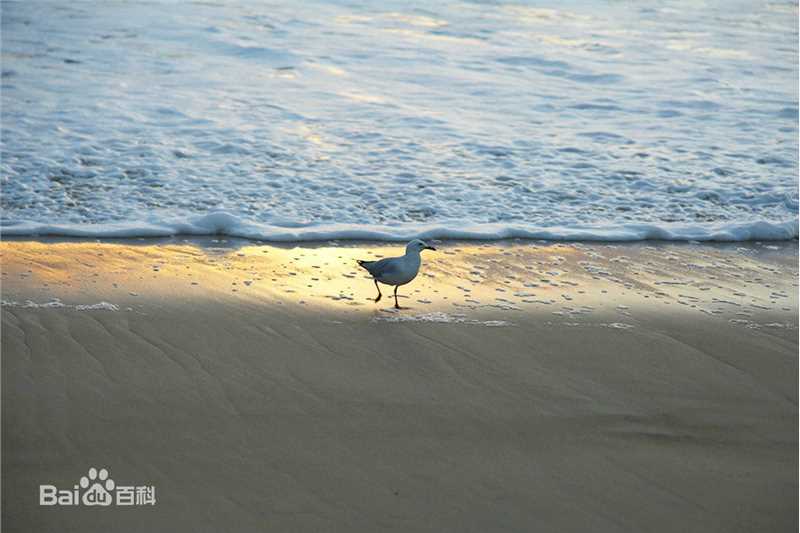 江一燕摄影作品图片图集