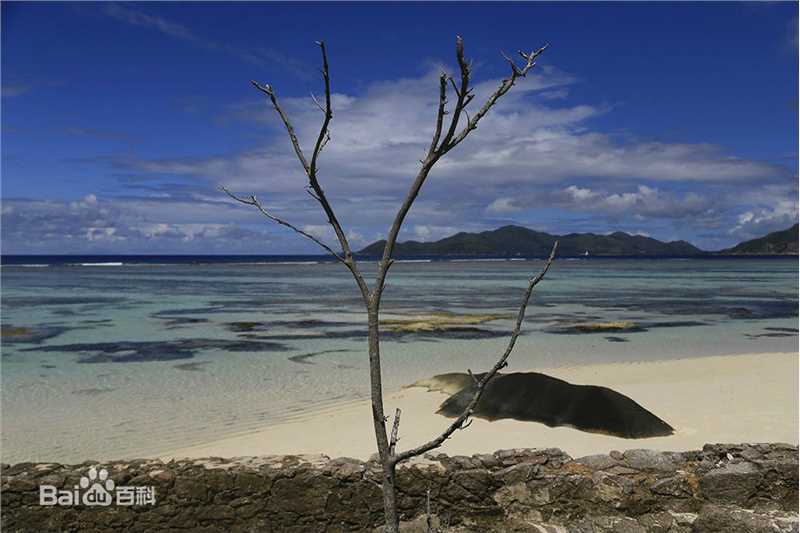 江一燕摄影作品图片图集
