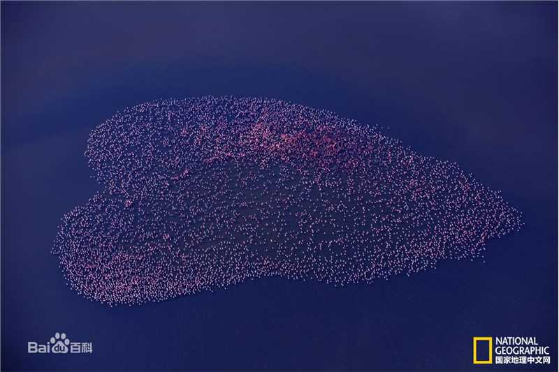 江一燕摄影作品图片图集