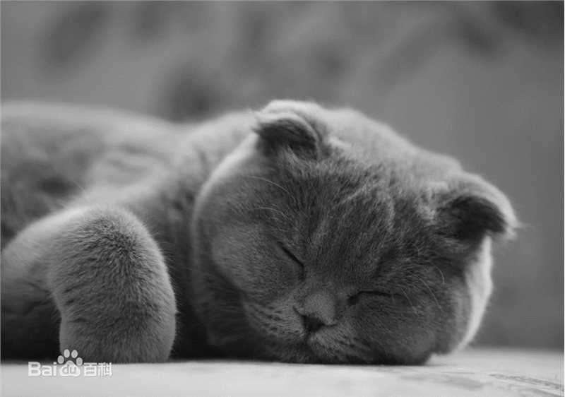 江一燕摄影作品图片图集