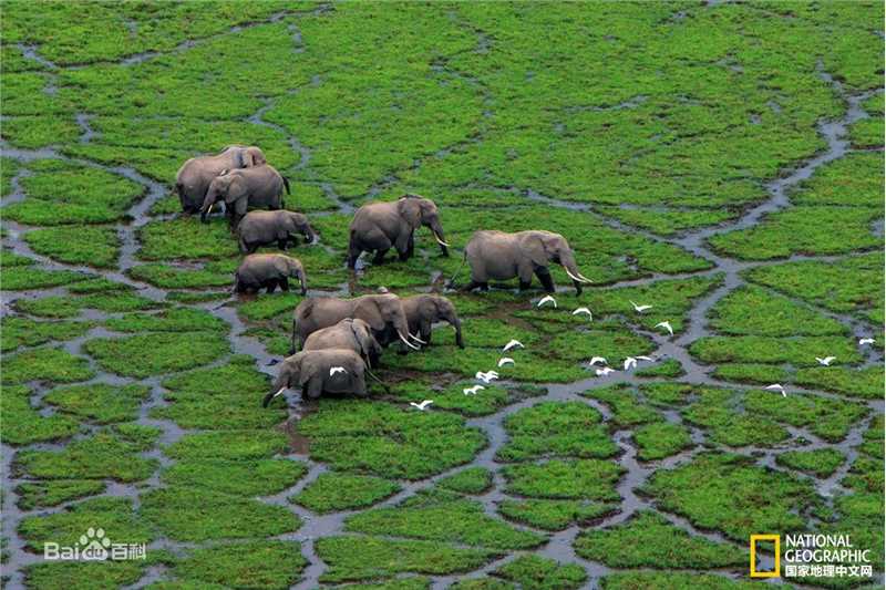 江一燕摄影作品图片图集