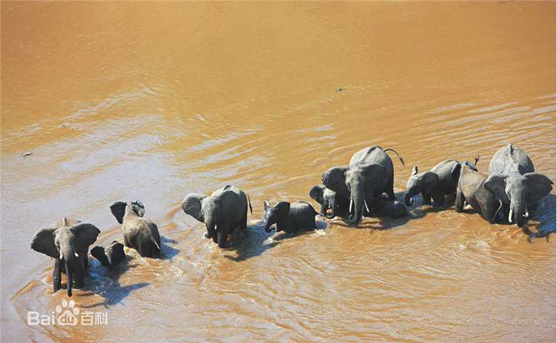 江一燕摄影作品图片图集