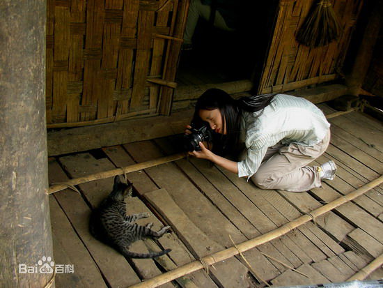江一燕摄影小江壁纸壁纸