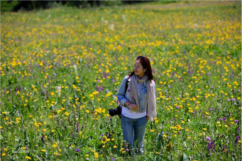 江一燕摄影小江壁纸壁纸