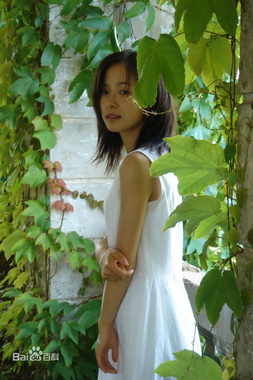 江一燕演员小江性感图片图集