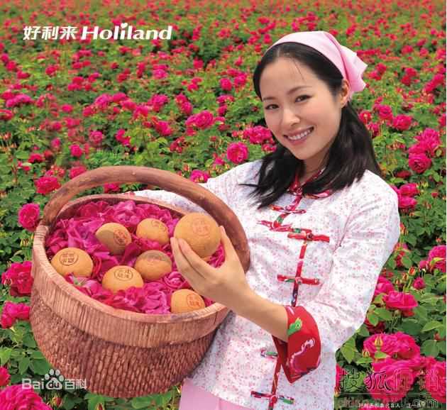 江一燕最新江南壁纸