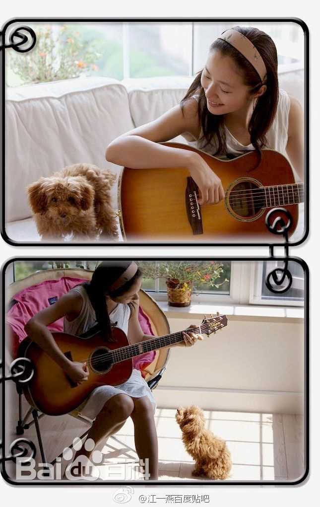 江一燕歌手小江壁纸壁纸