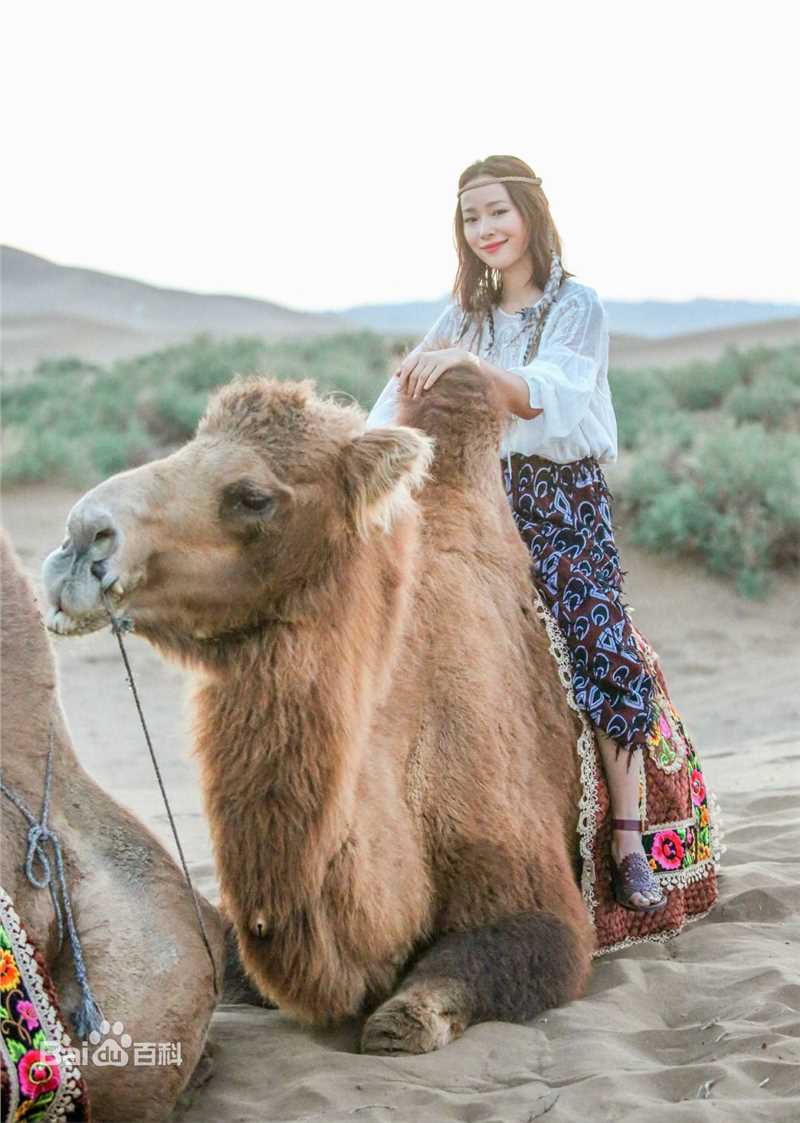 最新江一燕在《我们来了》中的图集