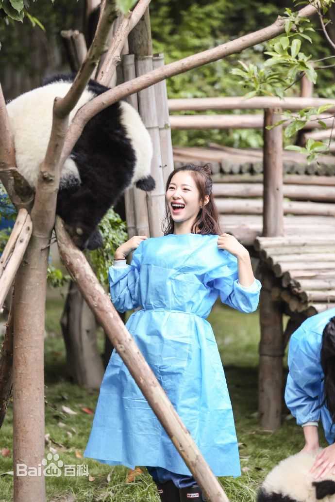 最新江一燕在《我们来了》中的图集