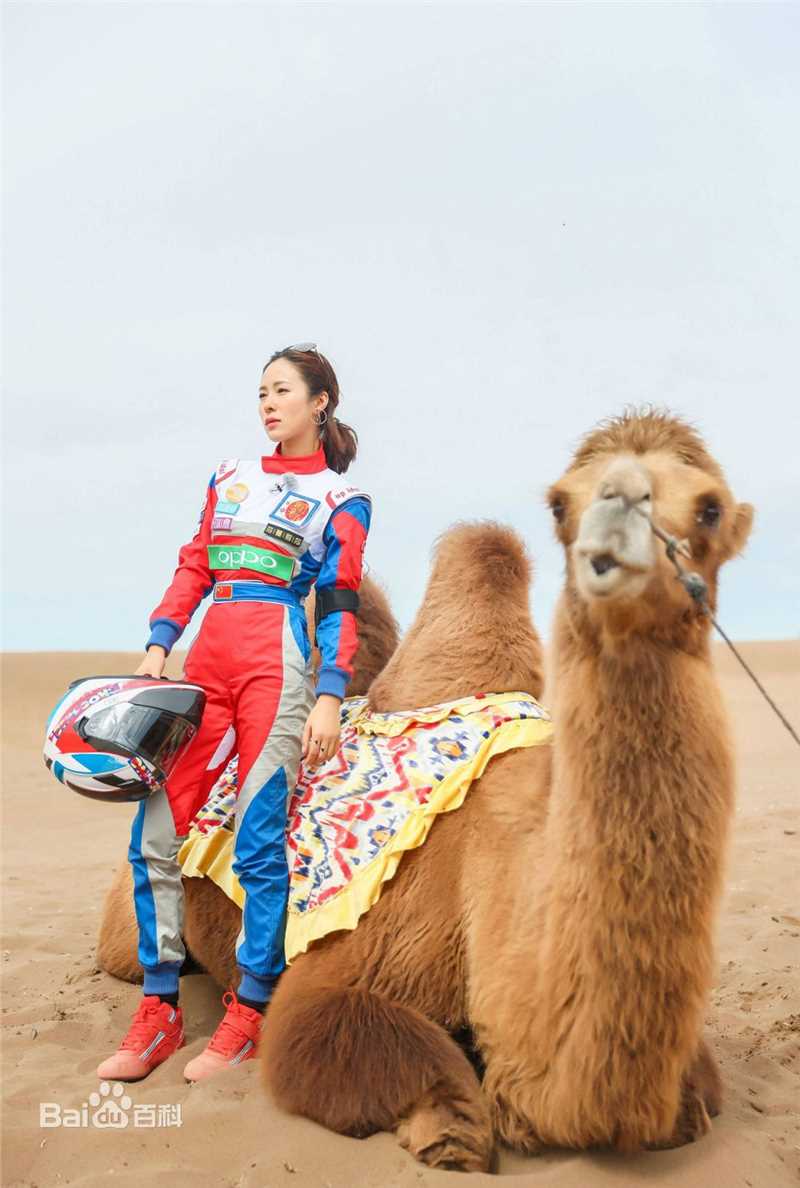 最新江一燕在《我们来了》中的图集