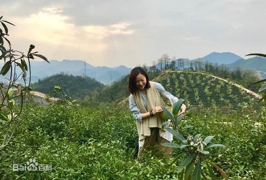 江一燕生活照生活照相册