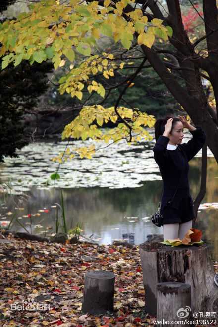 江一燕精彩图册1