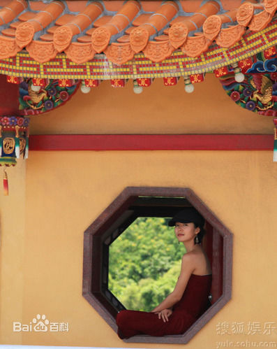 最全江一燕精彩图册