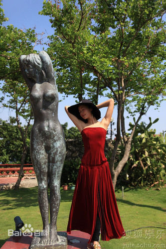 最全江一燕精彩图册