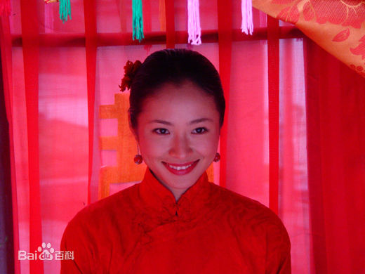 江一燕2004年《星火》最全剧照