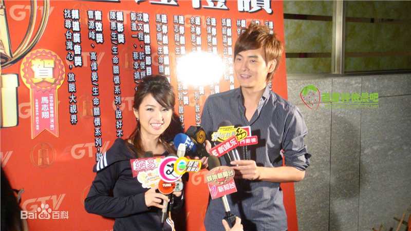 林依晨(Ariel Lin)2008.10.31 第43届金钟奖图片图册